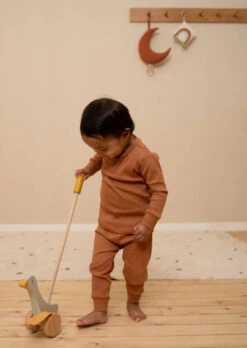 Little Dutch Duwstok Little Goose 18 Mnd+ -Janob Verkoop LittleDutchduwstokLittleGooseLD7070C