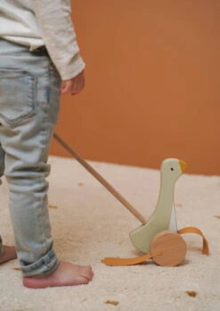 Little Dutch Duwstok Little Goose 18 Mnd+