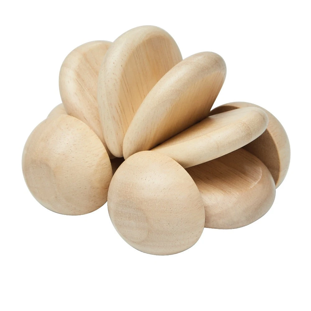 Plan Toys Baby Auto Naturel 6mnd+ 3 Plan Toys Baby Auto Naturel 6mnd+