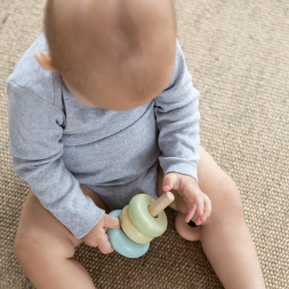 Plan Toys Stapeltoren Pastel 1 Jr+ 8 Plan Toys Stapeltoren Pastel 1 Jr+ - Afbeelding 6