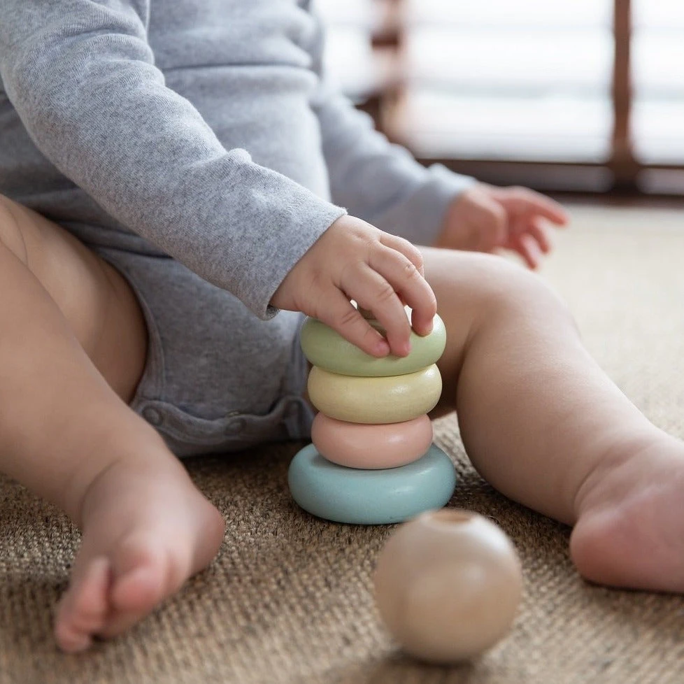 Plan Toys Stapeltoren Pastel 1 Jr+ 4 Plan Toys Stapeltoren Pastel 1 Jr+ - Afbeelding 2