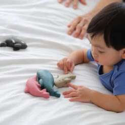 Plan Toys Zee Dieren 1jr+ -Janob Verkoop PlanToyszeedieren1jr 40056129b