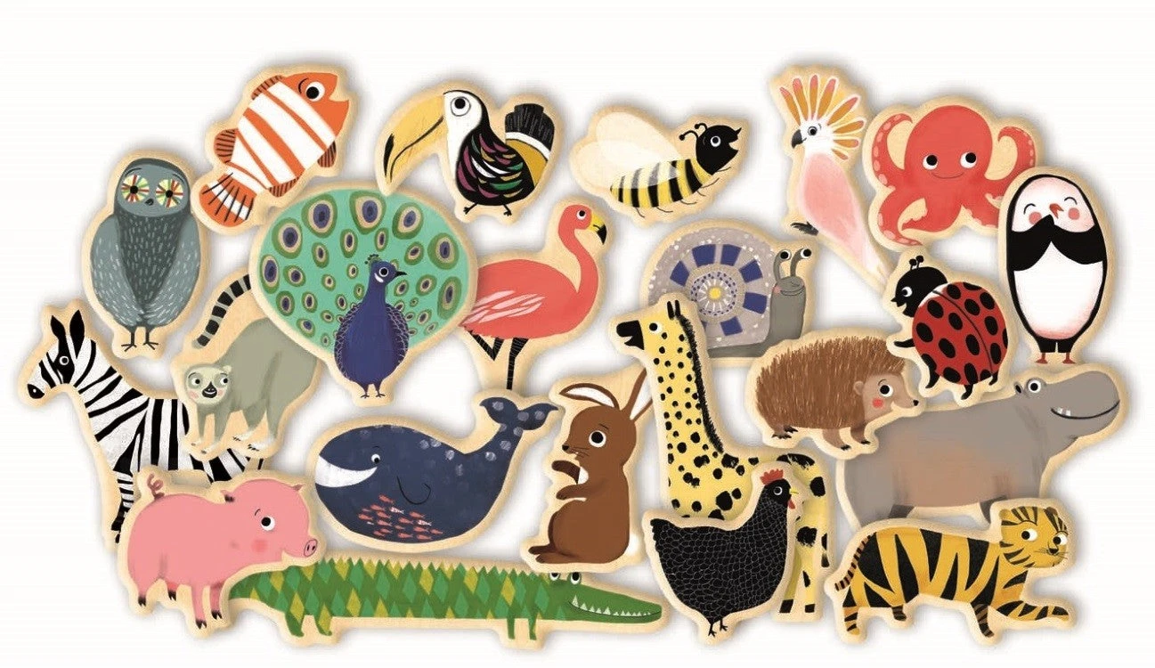 DJECO Magneten Magnimo 2 Jr+ 4 DJECO Magneten Magnimo 2 Jr+ - Afbeelding 2