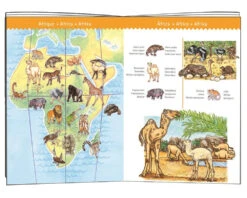 DJECO Observatie Puzzel Animals 5 Jr+/ 100 Stks -Janob Verkoop djeco observatie puzzel animals of the world dj07420 book