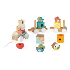 JANOD Trein Pure 1 Jr+ -Janob Verkoop janod trein pure 115157 f