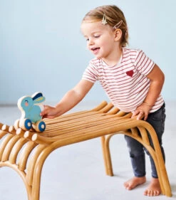 Petit Monkey Duwfiguur Konijn 1 Jr+ 8 Petit Monkey Duwfiguur Konijn 1 Jr+ -Janob Verkoop petit monkey duwfiguur bunny pmwt002 rb